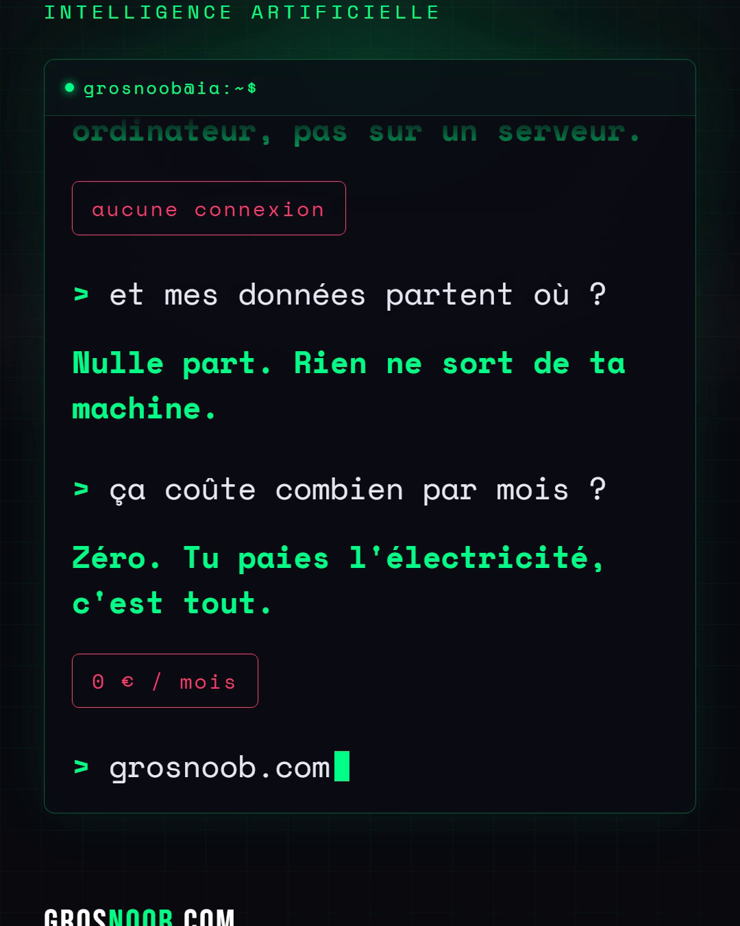 Faire tourner une IA sur ton ordi, hors ligne et gratuitement
