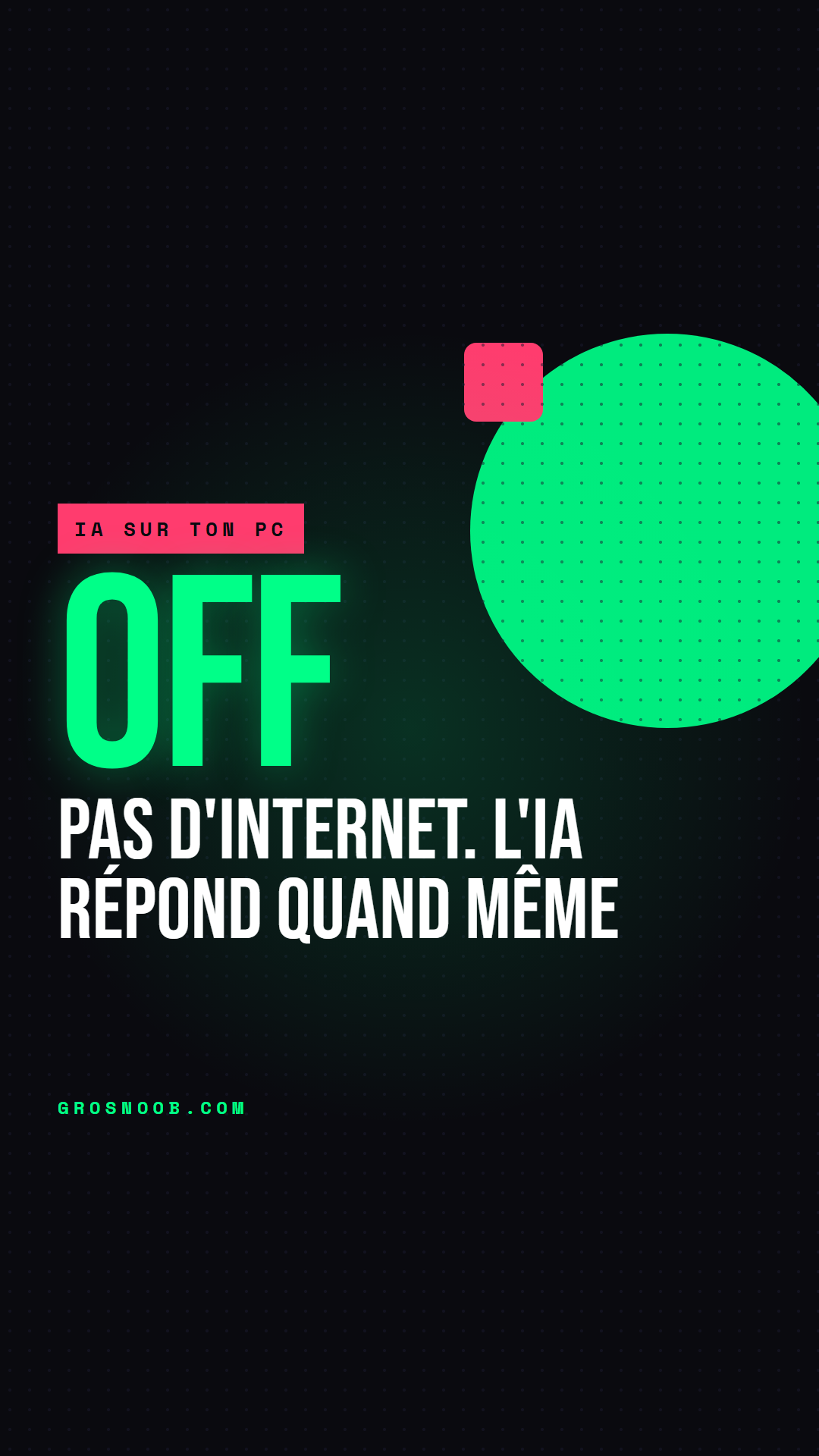Pas d'internet. Ton IA répond quand même